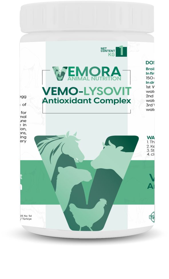 VEMO-LYSOVIT (Antioxidant Complex)